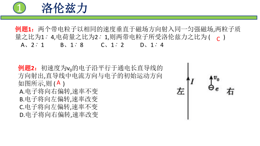 12洛伦兹力课件32张ppt