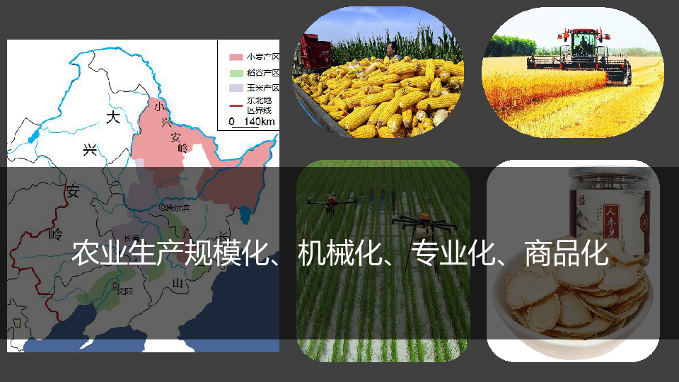 第二节 农业与区域可持续发展——以东北地区为例 课件(25张)