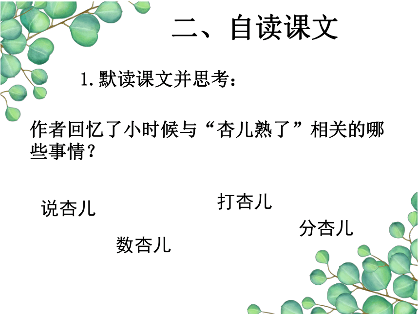 人教部编版四年级上册语文第五单元《习作例文 我家的杏熟了》 课件