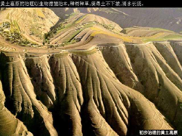 第一节沟壑纵横的特殊地形区黄土高原练习