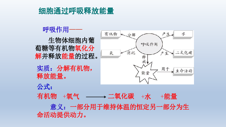 北师大版生物七年级下册第四单元第十章人体的能量供应复习课件共26张