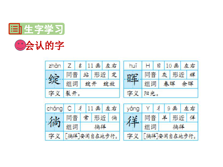 11白桦课件31张