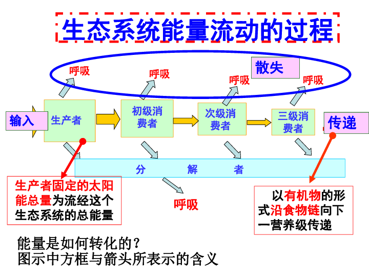 山东省巨野县第一中学人教版生物必修三第五章第二节生态系统的能量