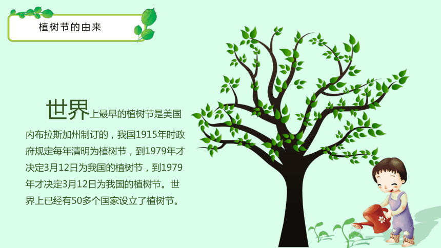 植树节主题班会课件26ppt