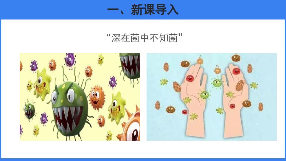 人教版生物八上5.4.2 细菌 课件共32张ppt-21世纪教育网