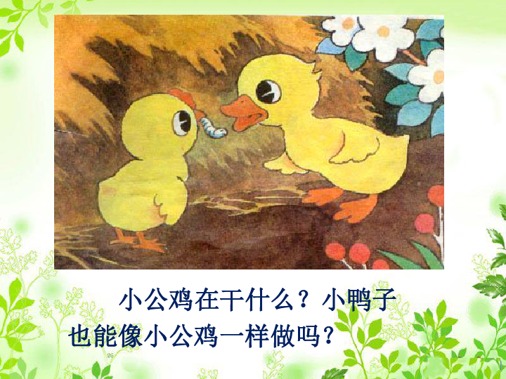 (2017年春季版《小公鸡和小鸭子》课件