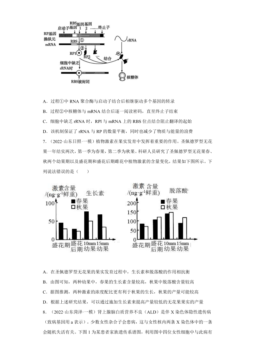 2022届高考生物各省模拟试题汇编卷山东专版word版含解析