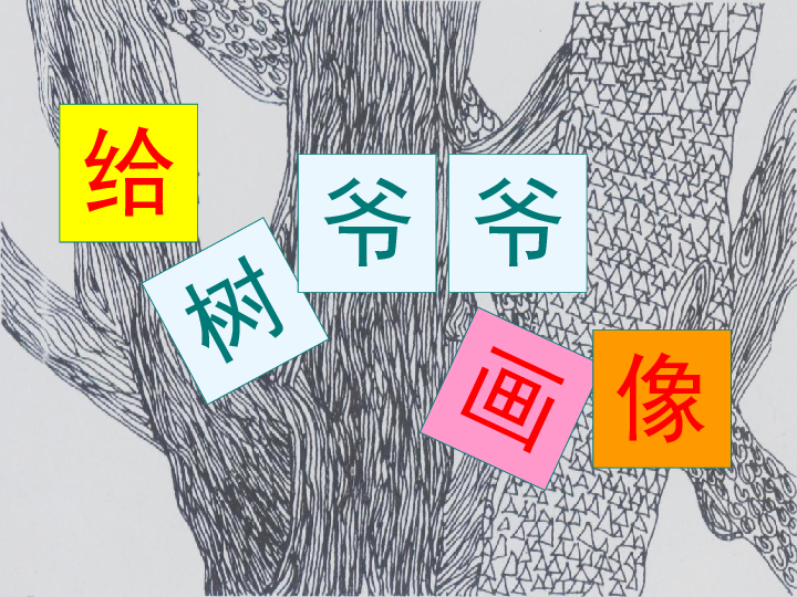 8给树爷爷画像课件(27张)