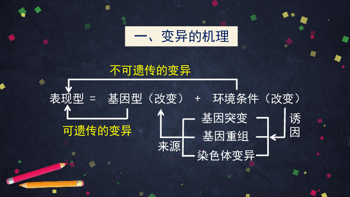 高中 生物 人教版(2019 必修2 遗传与进化 第5章 基因突变及其他变异