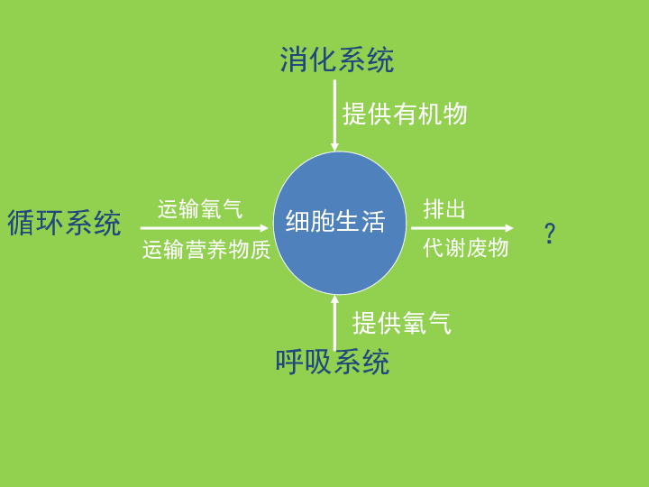 北师大版生物七下111人体产生的代谢物配套课件共23张ppt