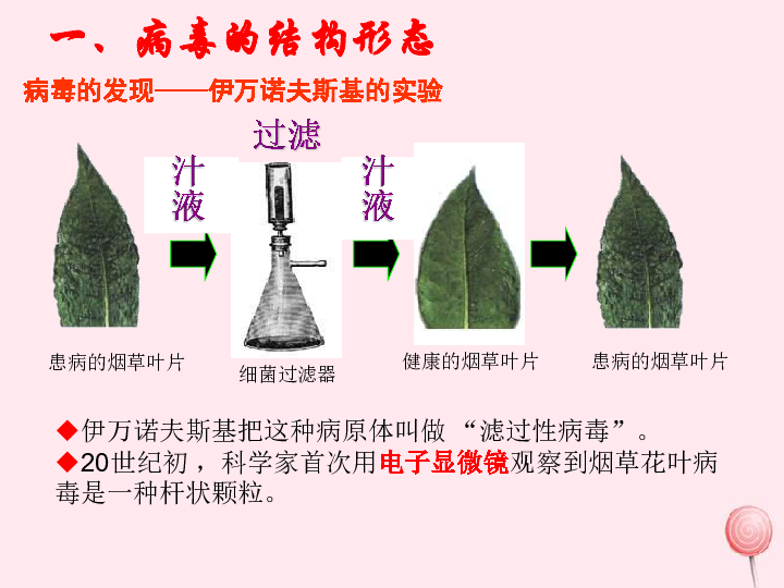 七年级生物上册第二单元多彩的生物世界第三章生物圈