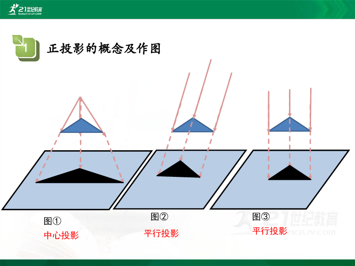 29.1投影(正投影)第2课时 课件