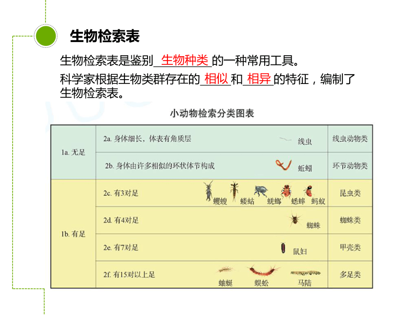 苏科版七年级下册生物142生物检索表课件共23张ppt