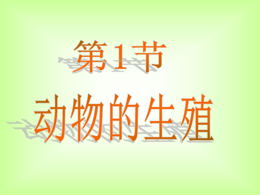 苏科版八年级上册生物201动物的生殖课件24张ppt