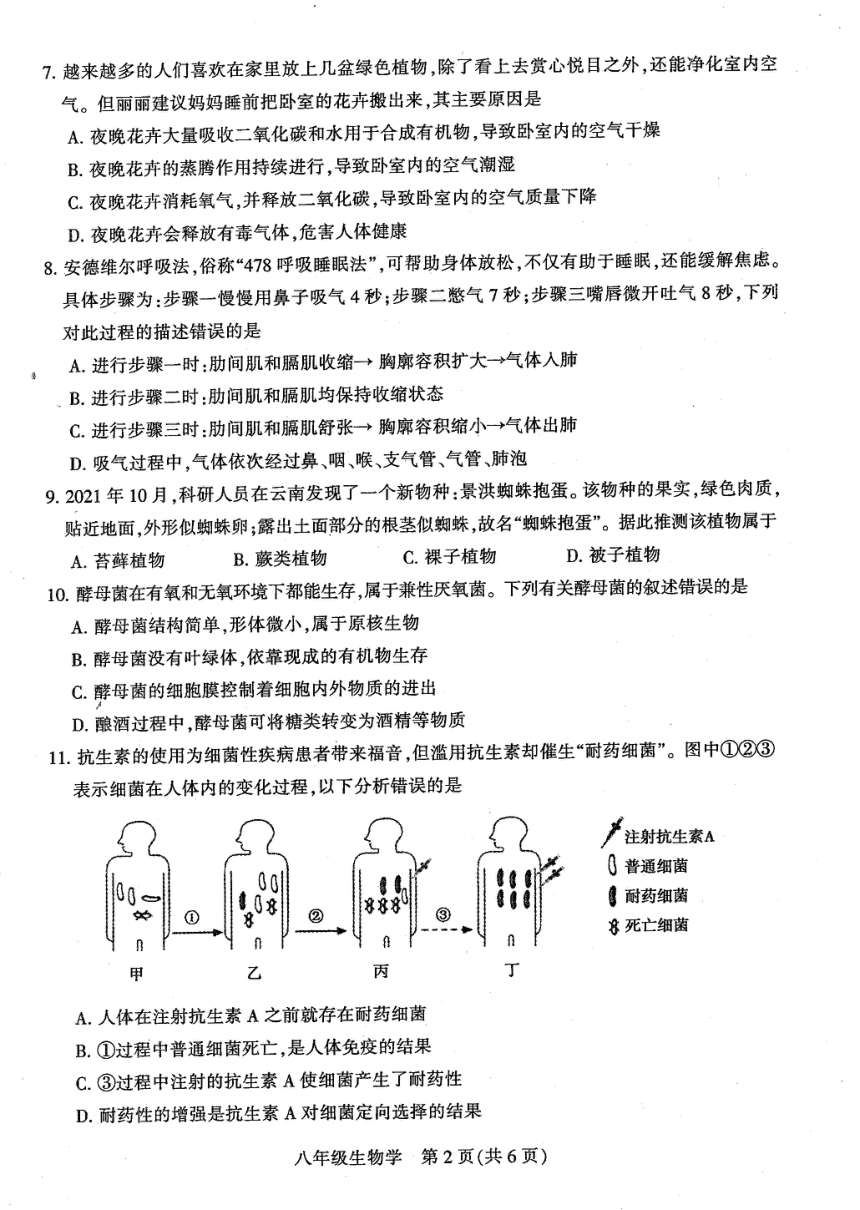 2022年河南省平顶山市中招学科模拟考试一一模生物试卷pdf版无答案