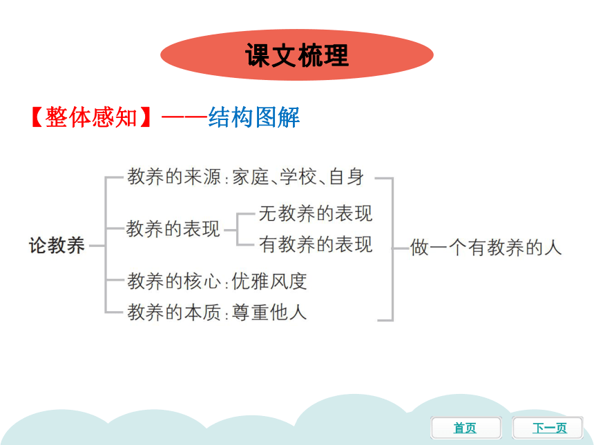 8 论教养 习题课件(33张ppt)