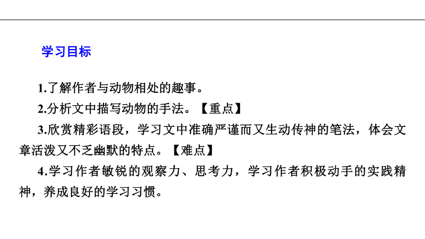 统编版七年级语文上册习题课件17动物笑谈37张ppt