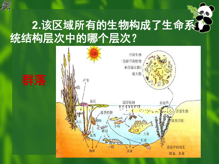 高生物必修三第三章第二节群落的结构课件48张