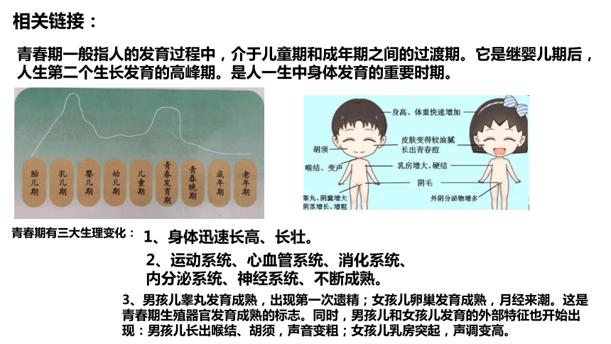 一,悦纳生理变化1,青春期身体变化的表现:伴随着身体外形的明显变化