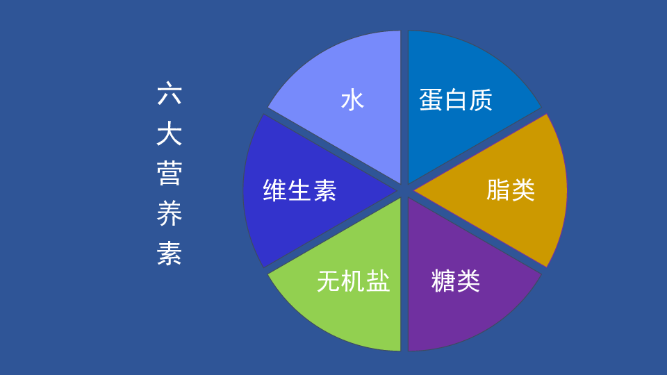 (共46张ppt)高二年级  化学第四章生命中的基础有机化学物质六大营养