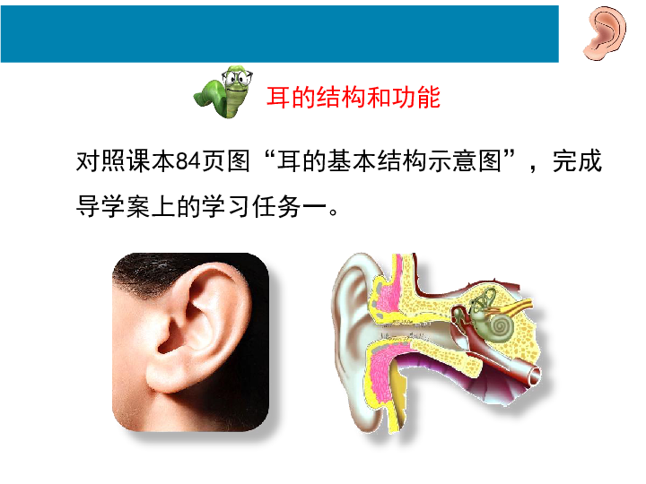 冀少版七年级下册生物《第二单元 我们的身体与健康的