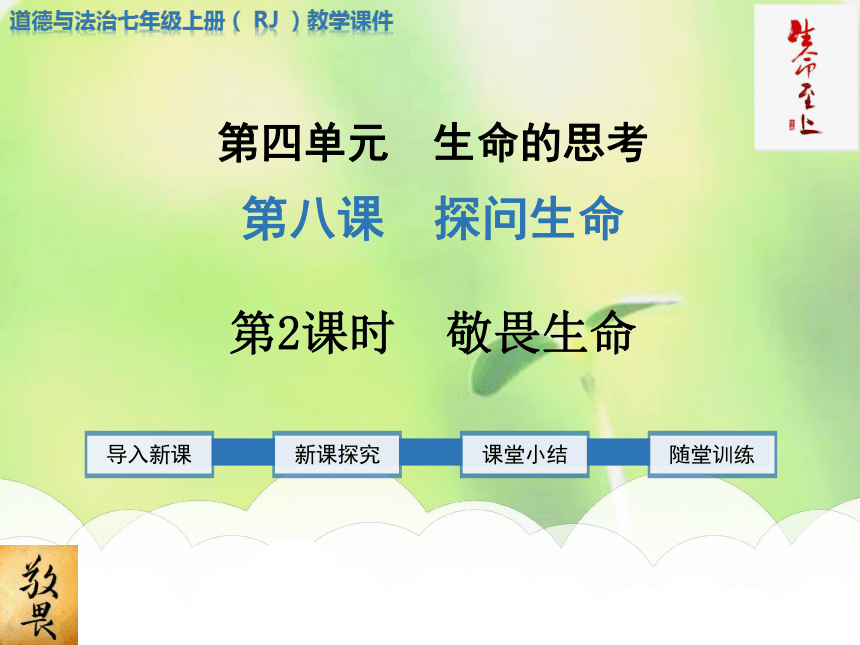 第四单元 生命的思考 第八课 探问生命 敬畏生命(共21张ppt)