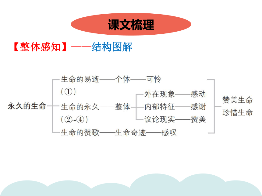 统编版八年级语文上册习题课件16散文二篇34张ppt