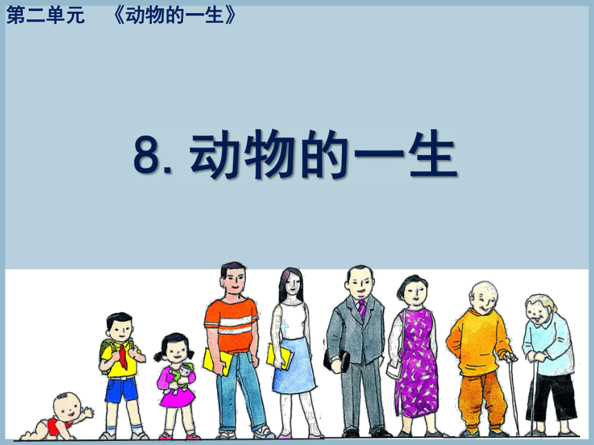教科版2017秋三年级下册科学课件28动物的一生课件23ppt