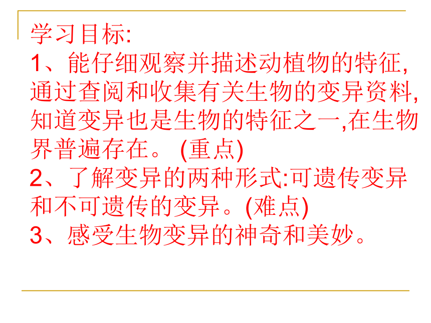 苏教版2001六年级下册科学22生物的变异现象课件18张ppt