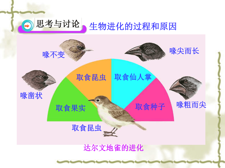 说出达尔文生物进化学说的基本思想及其意义2.