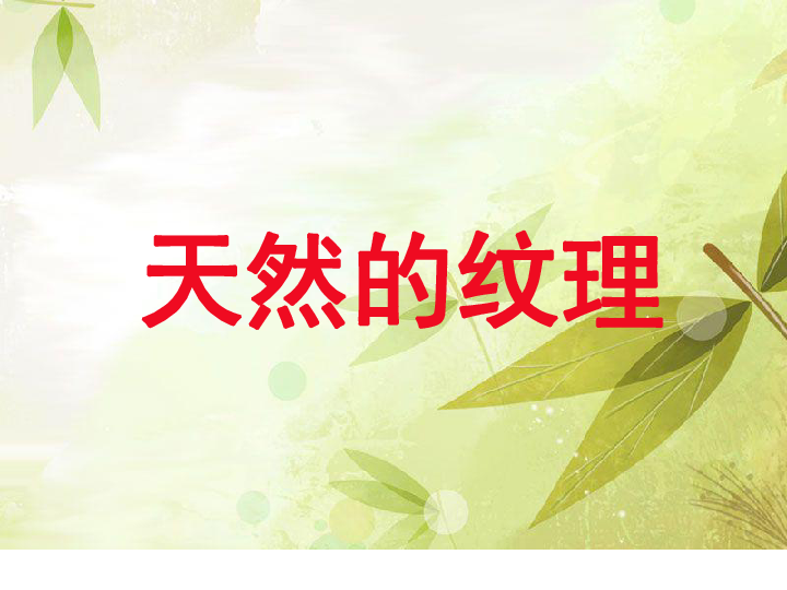 三年级上册美术课件第9课天然的纹理▏人教课标版共27张ppt