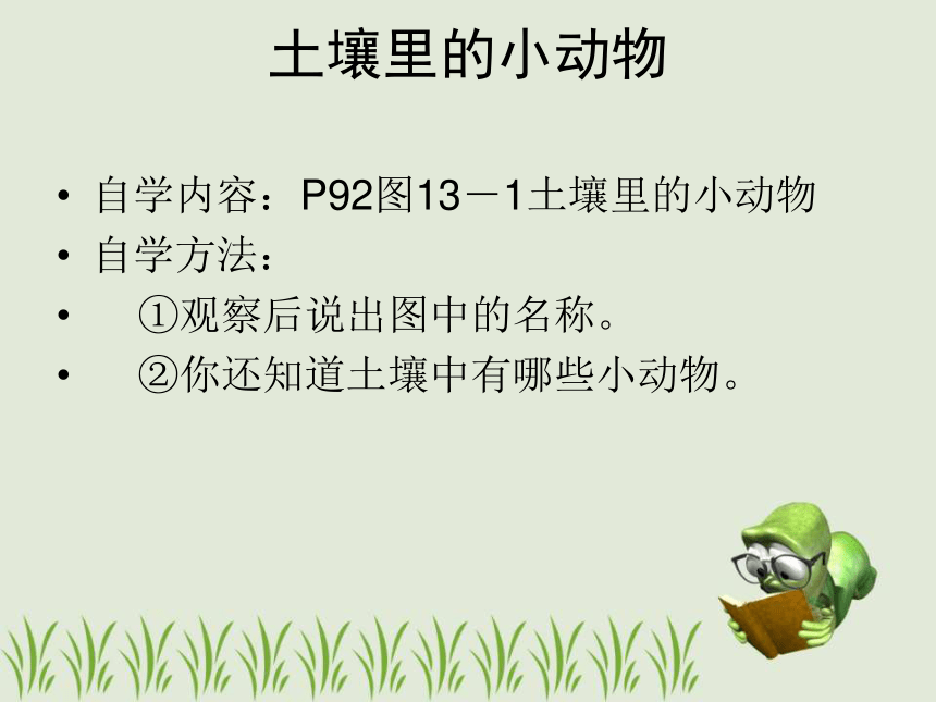 1土壤里的小动物 课件(24张