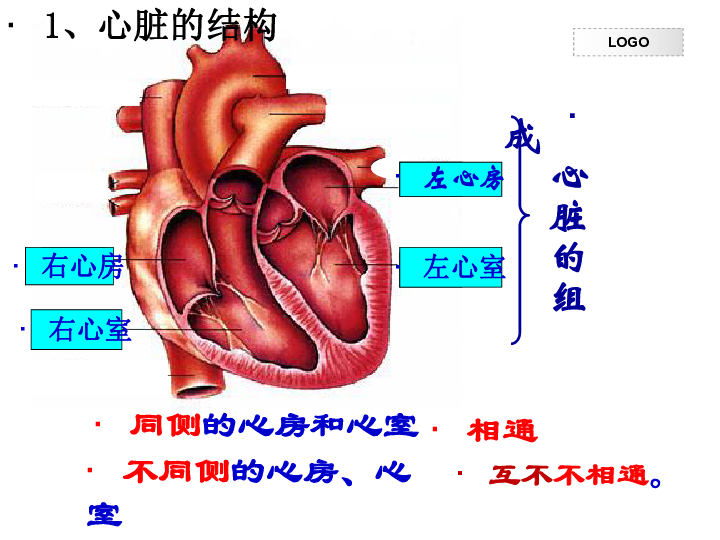 观察人的心脏结构图,回答下列问题 1,心脏有几腔?