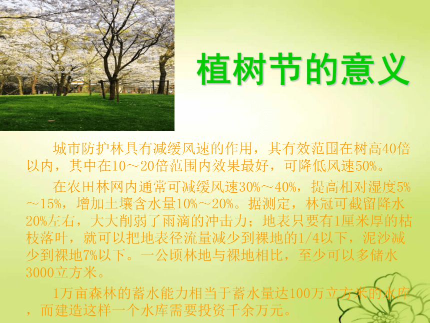 植树节主题班会 课件 (22ppt)