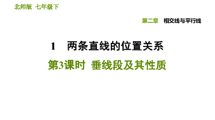 1.3垂线段及其性质习题课件(共22张ppt)