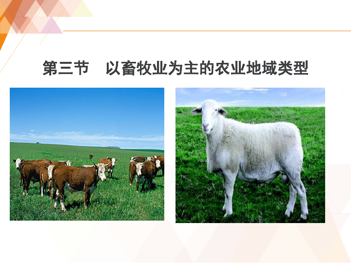33以畜牧业为主的农业地域类型27张