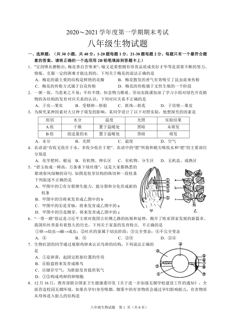 枣庄市滕州市20202021学年上学期期末考试八年级生物试题word版含答案