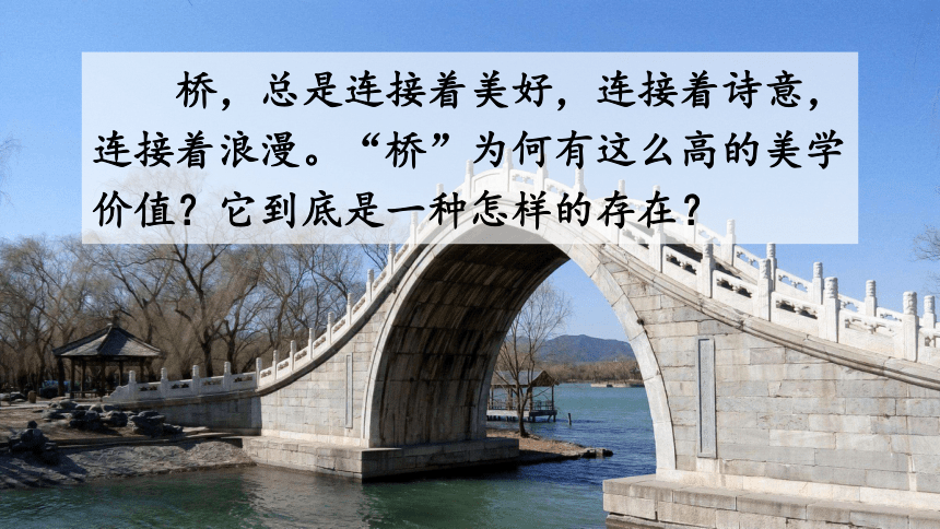 部编版八年级上册语文18 中国石拱桥课件(41张ppt)