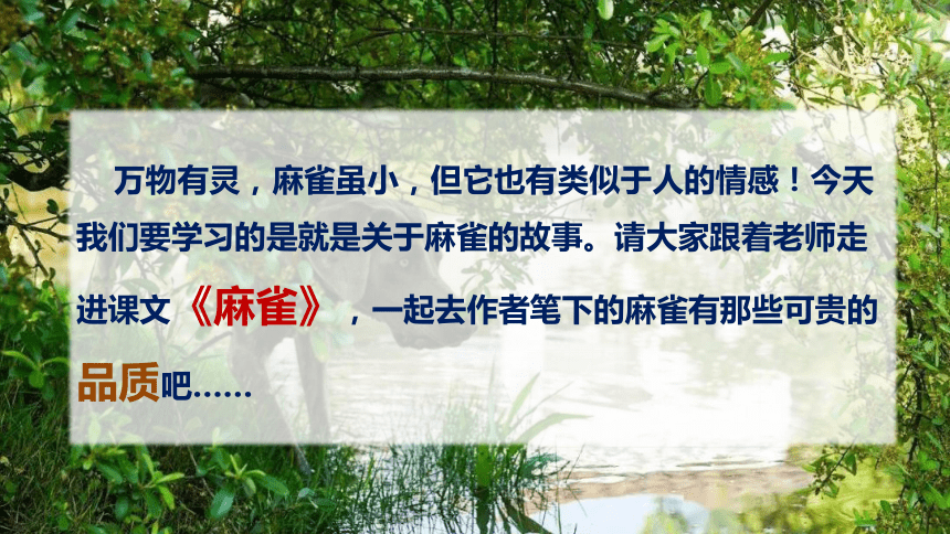16麻雀课件44张ppt