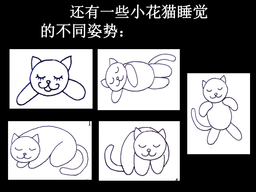 人美版北京二年级上册美术第3课小花猫在睡觉▏课件15张ppt