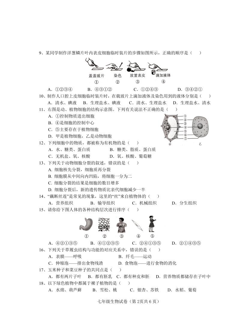 上册 2020—2021学年度第一学期期末质量检查七年级生物试卷题