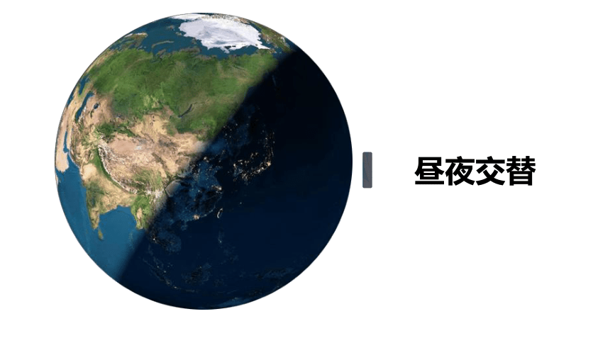 教科版2017六年级科学上册7昼夜和四季变化对生物的影响课件8张ppt