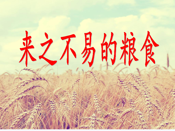 三年级上册综合实践活动课件-来之不易的粮食 皖教版