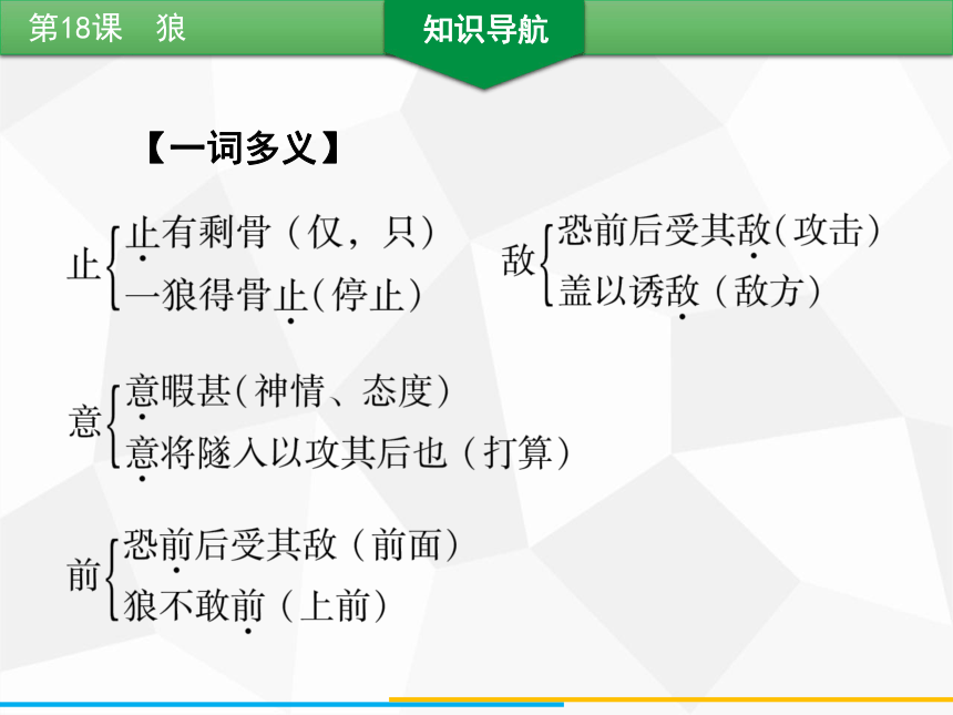 第18课狼习题课件共29张幻灯片