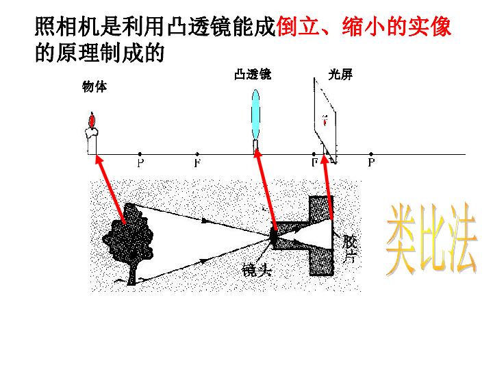 苏科版八年级上册物理 4.4 照相机与眼睛 视力的矫正 课件(20张ppt)