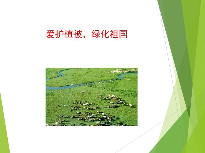 人教版七年级上册生物课件 3.6 爱护植被,绿化祖国 课件(共24张.