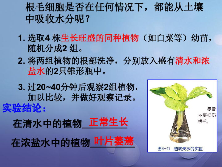 根毛区根毛细胞是怎样从土壤中吸收水分的?