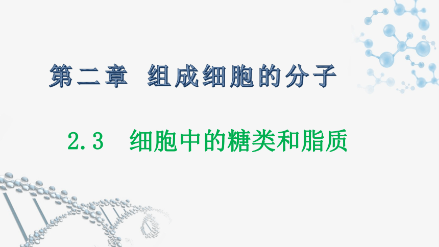 新教材人教版2019高中生物必修一23细胞中的糖类和脂质课件共35张ppt