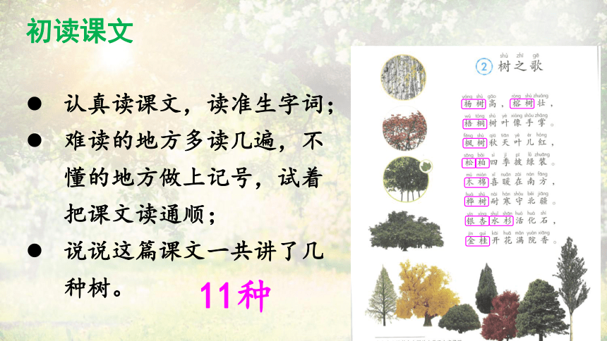 识字2树之歌课件2课时41张ppt