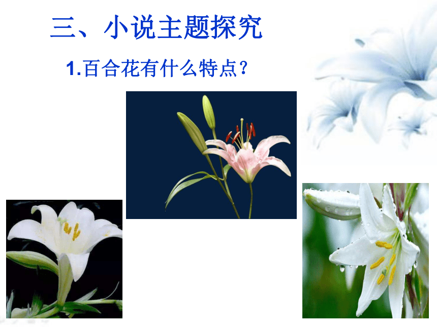 统编版必修上册31百合花课件32张ppt